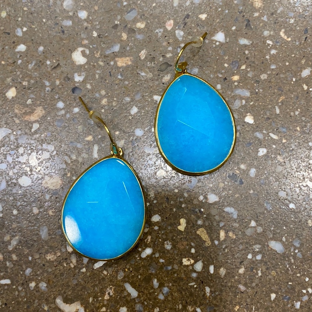 Beautiful Stella and Dot Earrings!